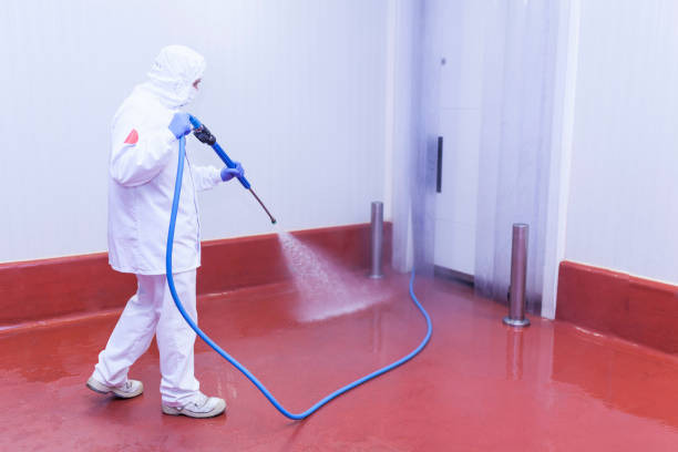 Best Building Exterior Washing  in Liberty Hill, TX